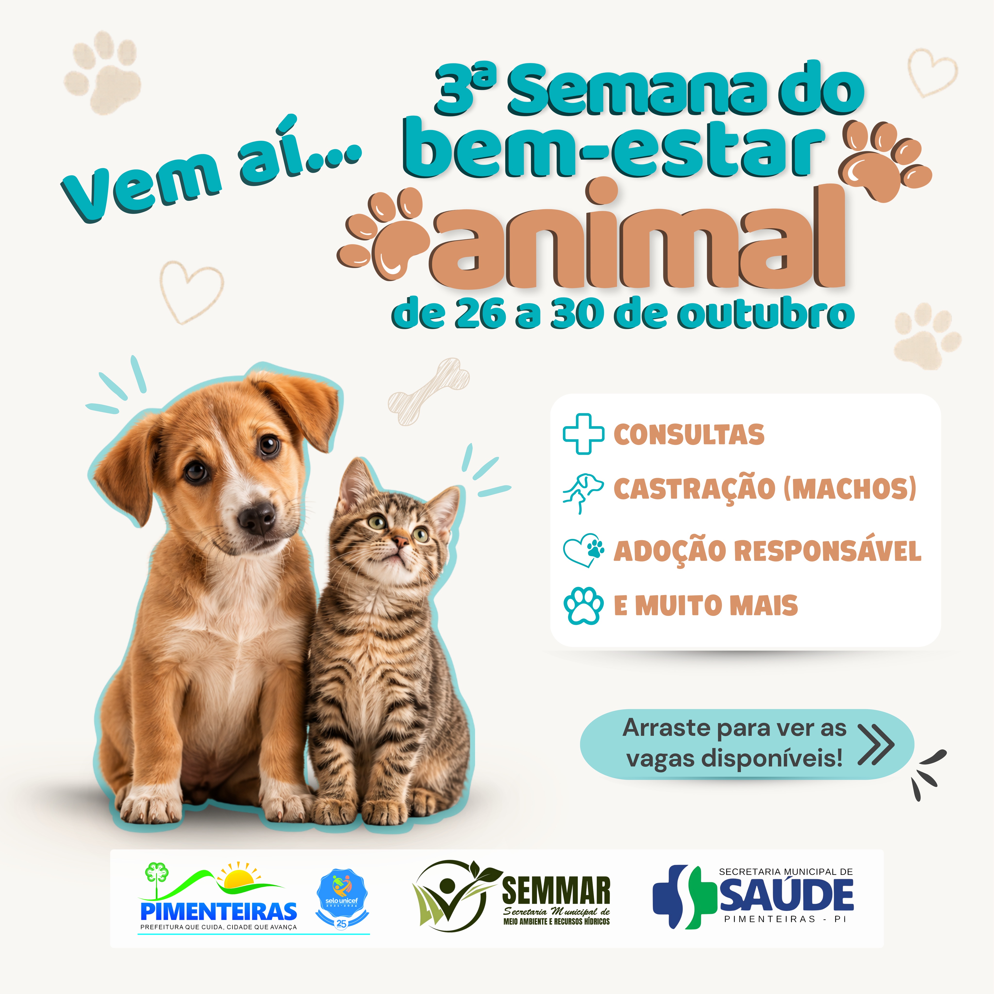 Notícia